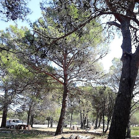 Eco Secluded Apartments Zabodarski Čunski Εξωτερικό φωτογραφία