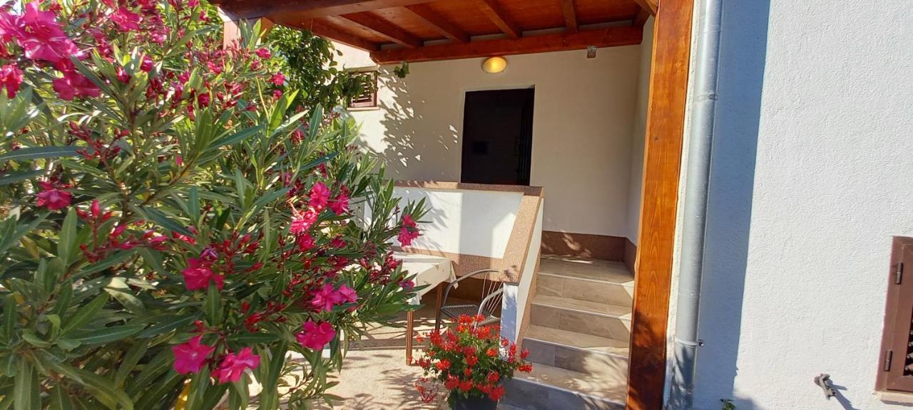 Eco Secluded Apartments Zabodarski Čunski Εξωτερικό φωτογραφία
