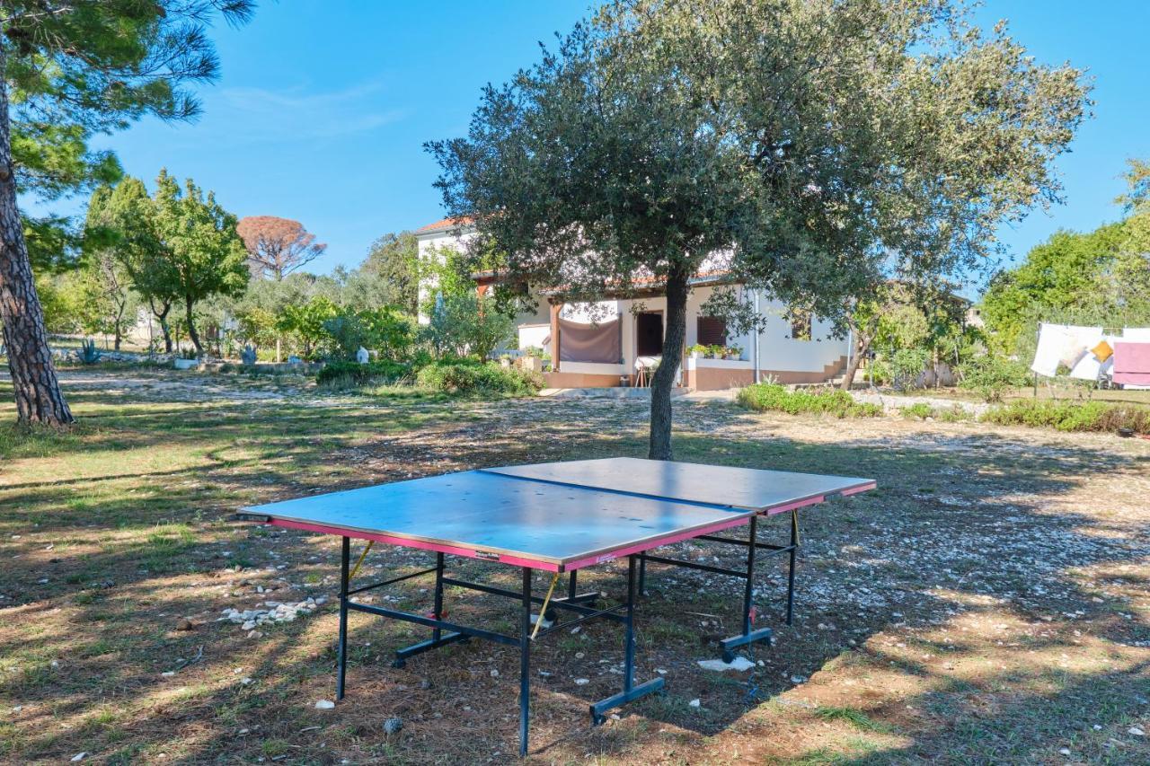 Eco Secluded Apartments Zabodarski Čunski Εξωτερικό φωτογραφία