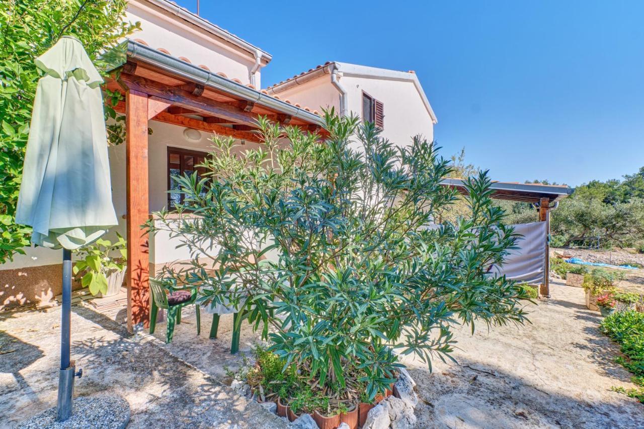 Eco Secluded Apartments Zabodarski Čunski Εξωτερικό φωτογραφία