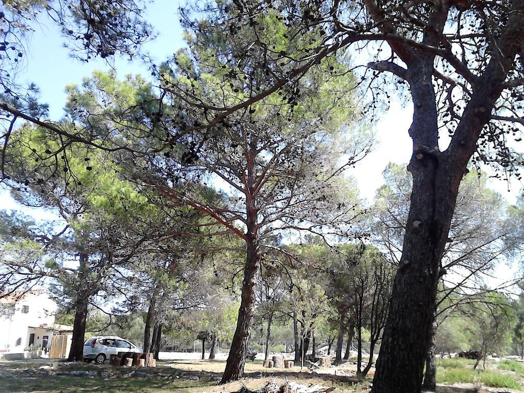 Eco Secluded Apartments Zabodarski Čunski Εξωτερικό φωτογραφία