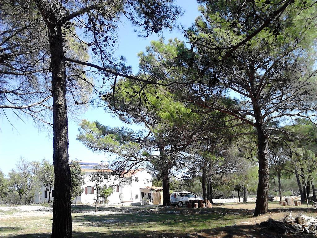Eco Secluded Apartments Zabodarski Čunski Εξωτερικό φωτογραφία