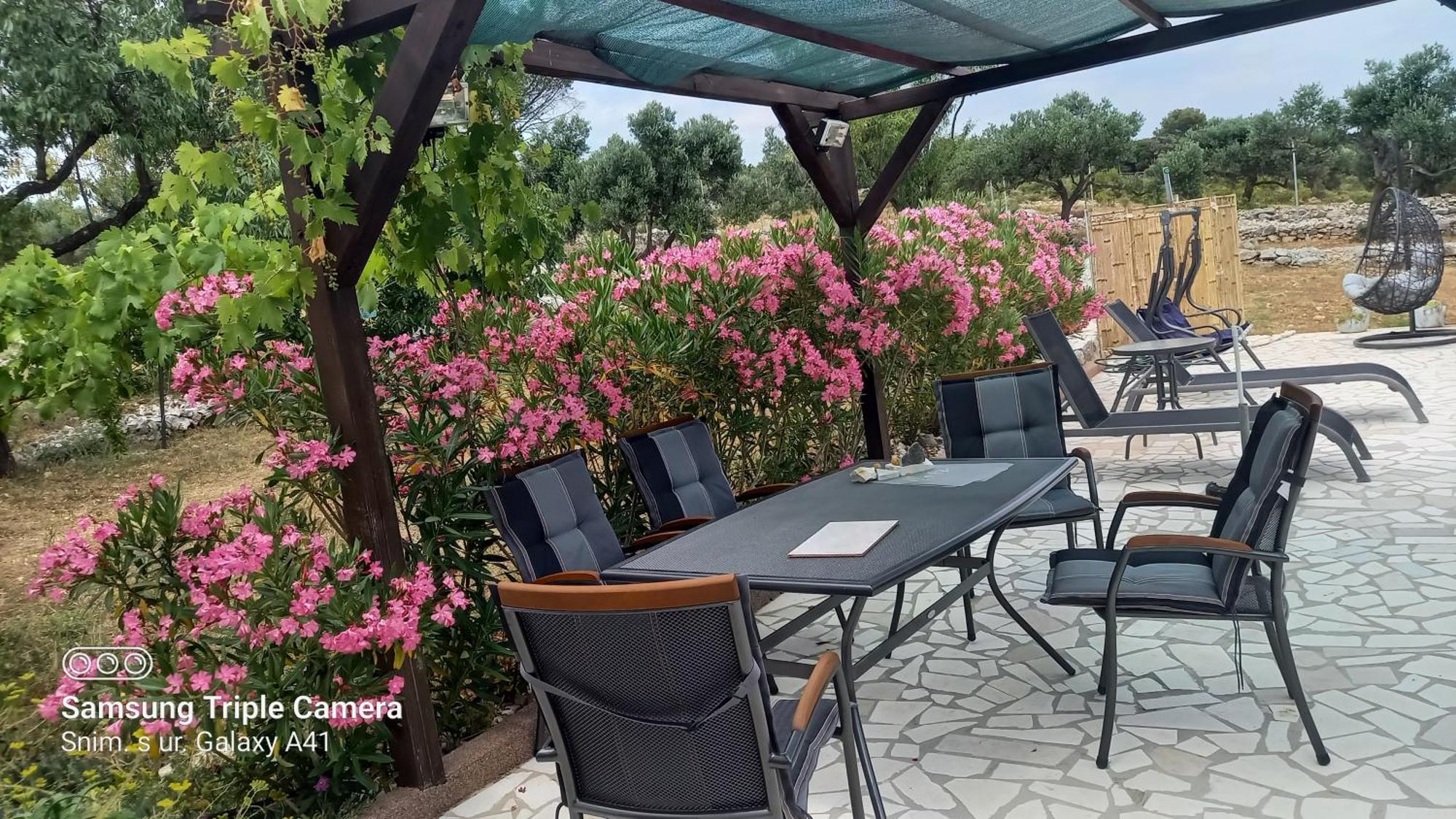 Eco Secluded Apartments Zabodarski Čunski Εξωτερικό φωτογραφία