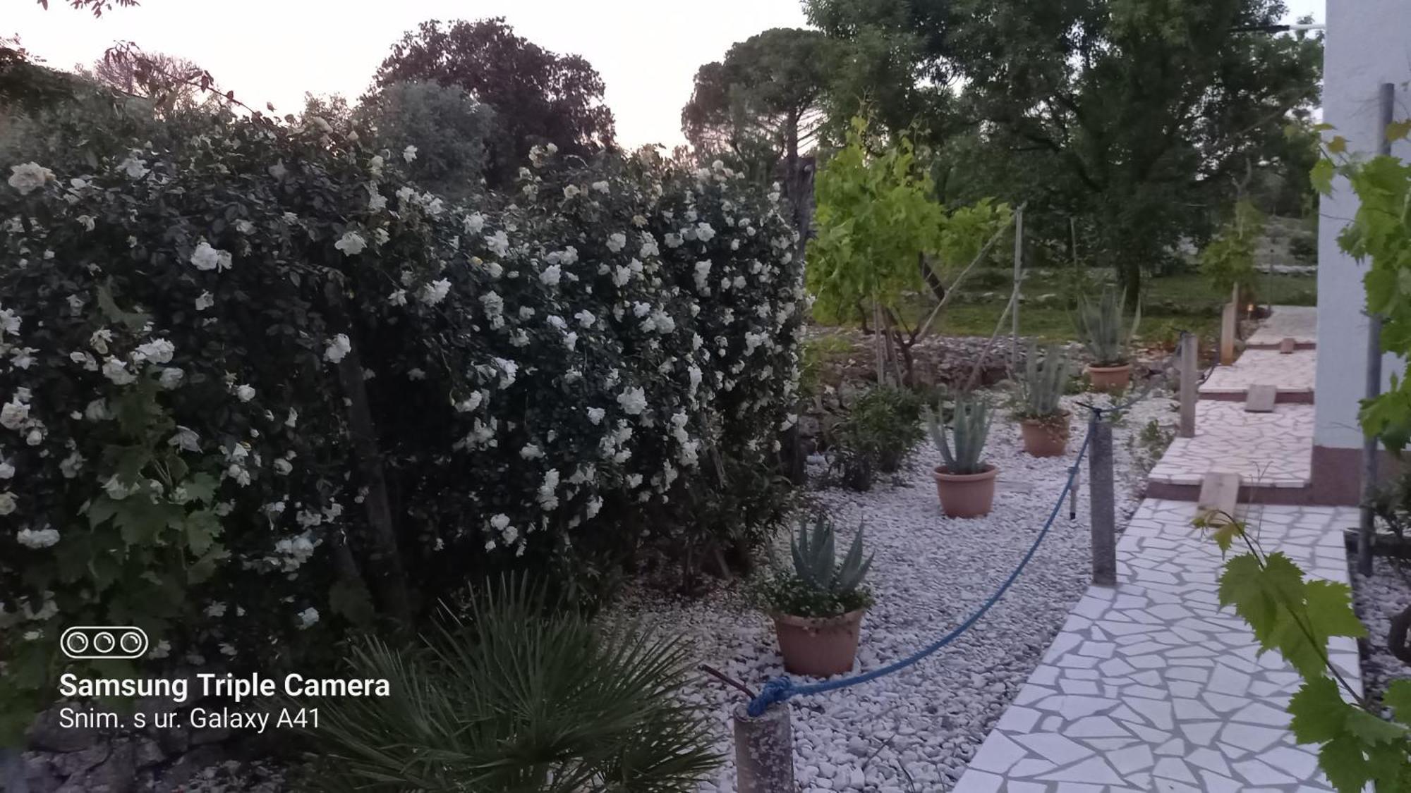 Eco Secluded Apartments Zabodarski Čunski Εξωτερικό φωτογραφία
