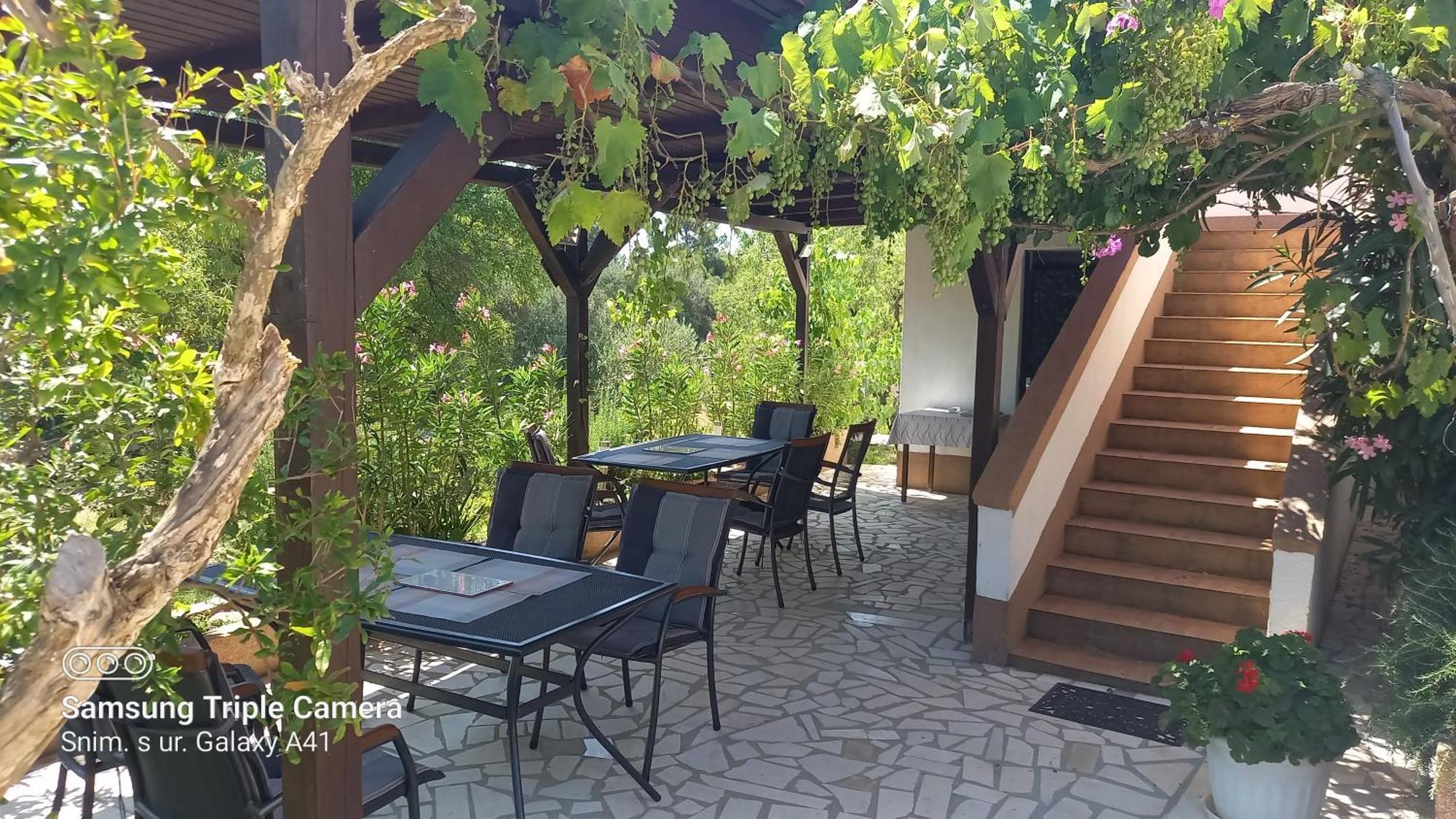 Eco Secluded Apartments Zabodarski Čunski Εξωτερικό φωτογραφία