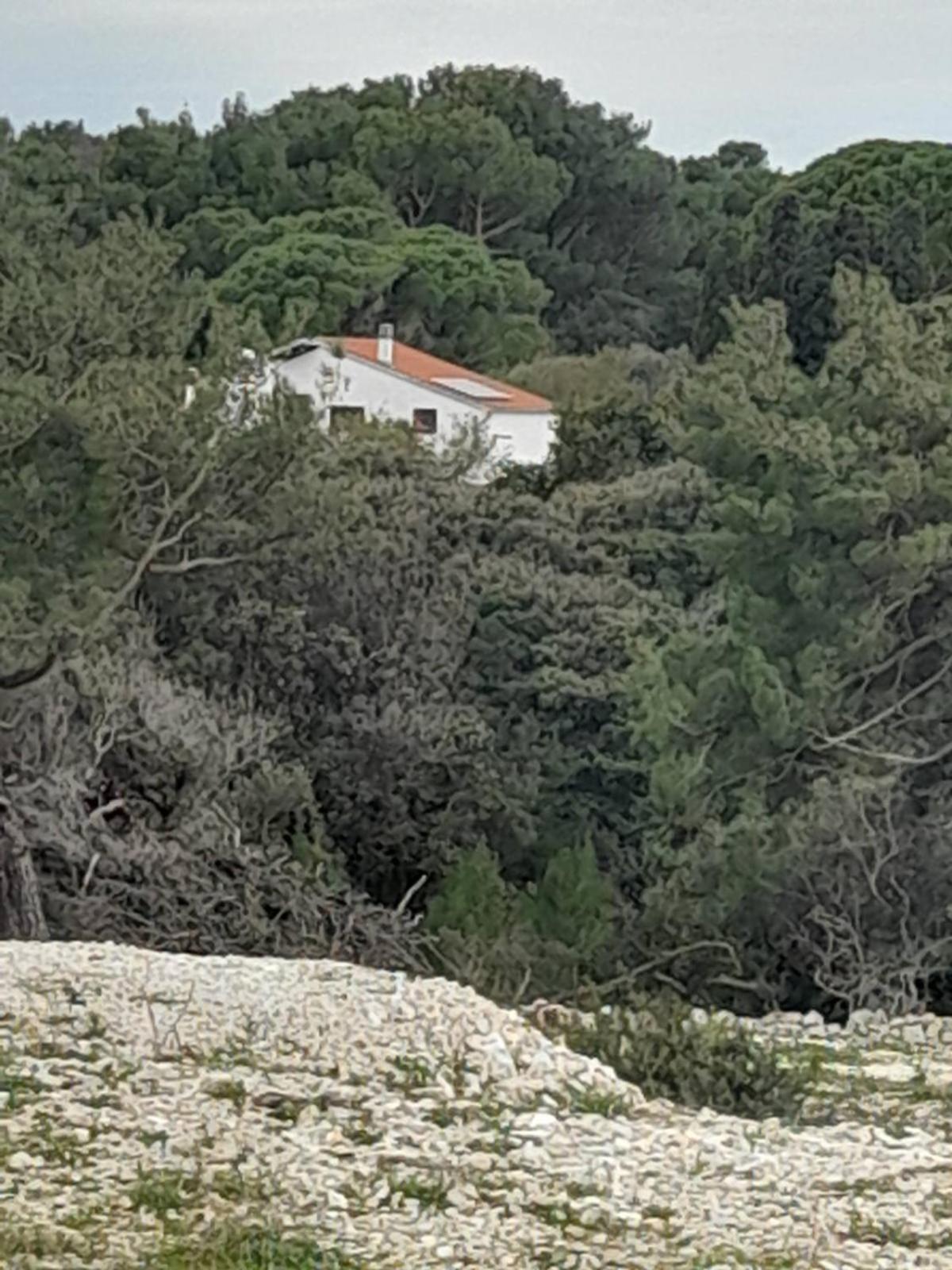 Eco Secluded Apartments Zabodarski Čunski Εξωτερικό φωτογραφία
