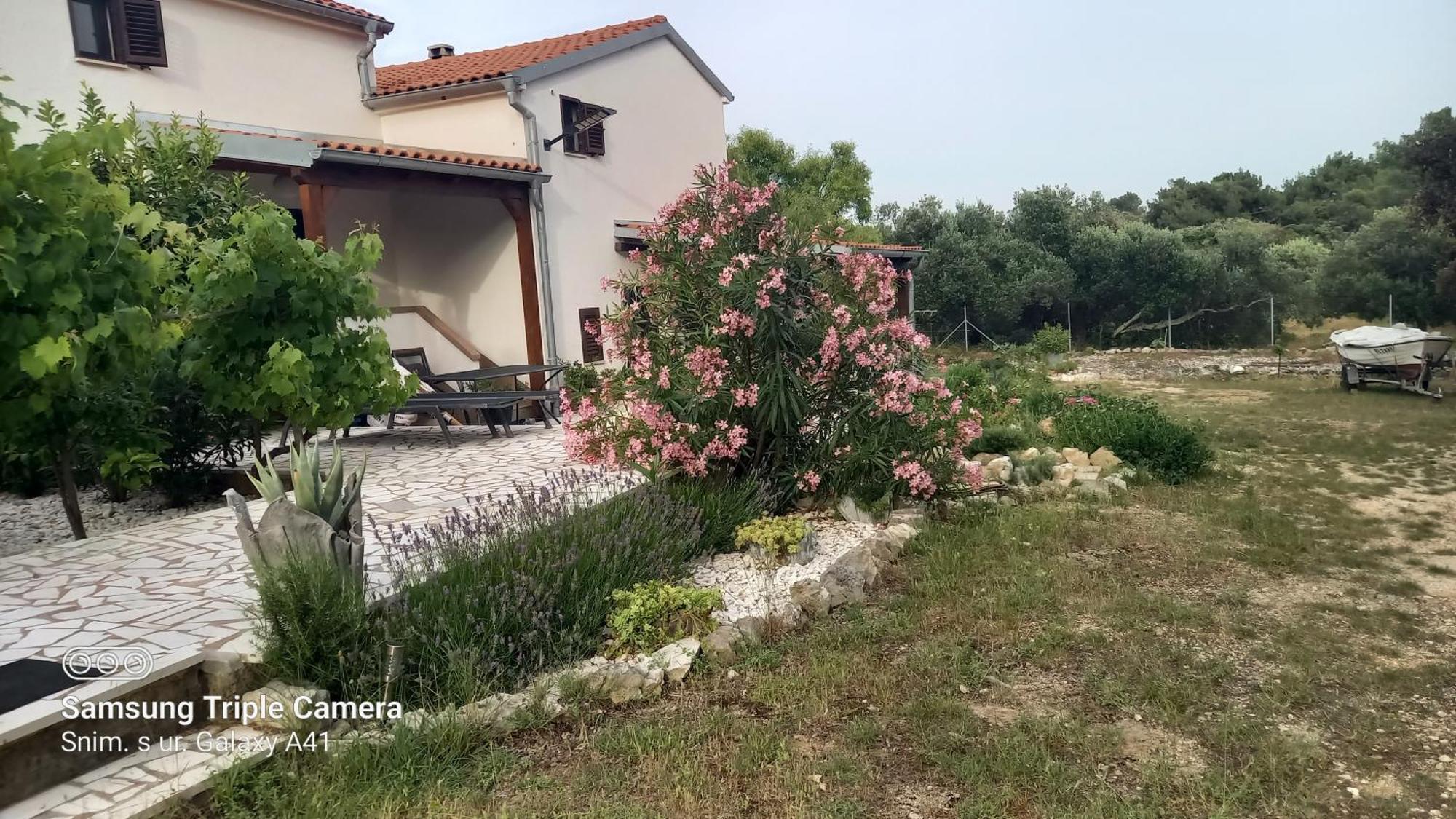 Eco Secluded Apartments Zabodarski Čunski Εξωτερικό φωτογραφία