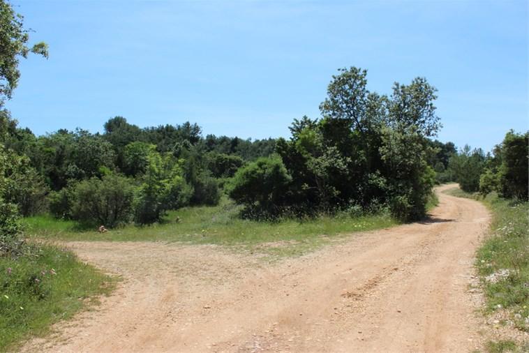 Eco Secluded Apartments Zabodarski Čunski Εξωτερικό φωτογραφία