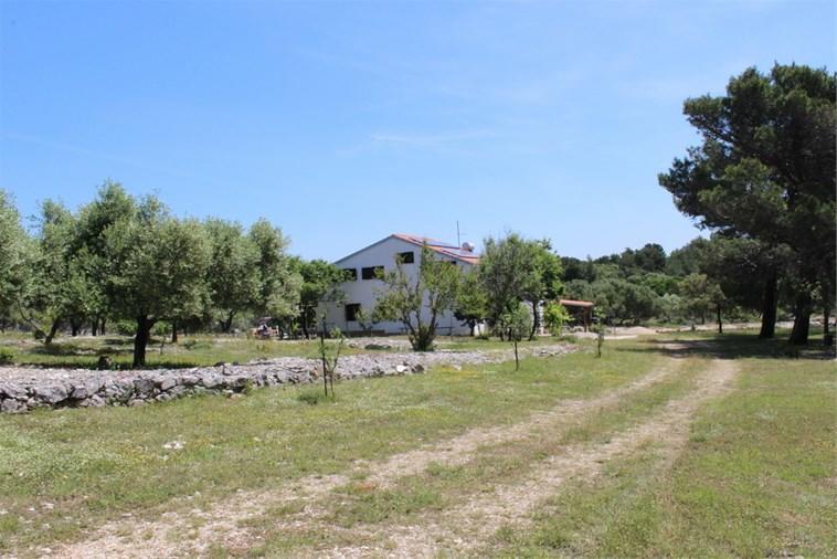 Eco Secluded Apartments Zabodarski Čunski Εξωτερικό φωτογραφία