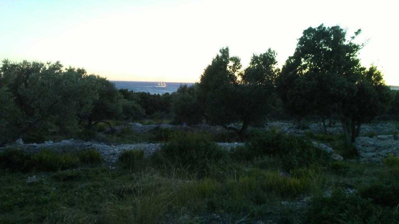 Eco Secluded Apartments Zabodarski Čunski Εξωτερικό φωτογραφία
